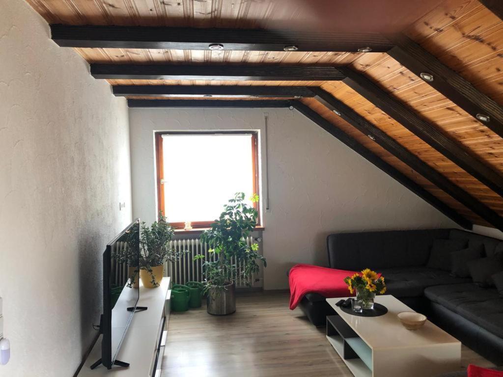 Ferienwohnung Zur Sonnenterasse In Gersbach Schopfheim Esterno foto